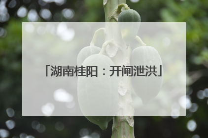湖南桂阳：开闸泄洪