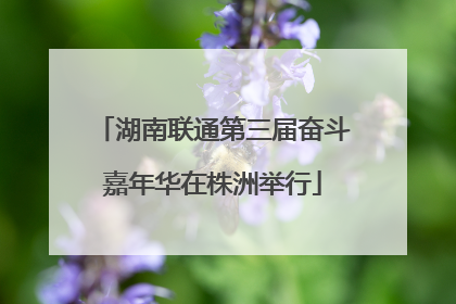 湖南联通第三届奋斗嘉年华在株洲举行