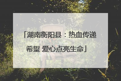 湖南衡阳县：热血传递希望 爱心点亮生命
