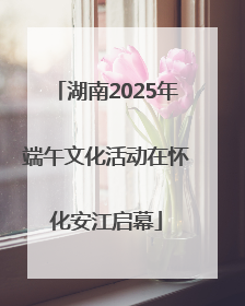 湖南2025年端午文化活动在怀化安江启幕