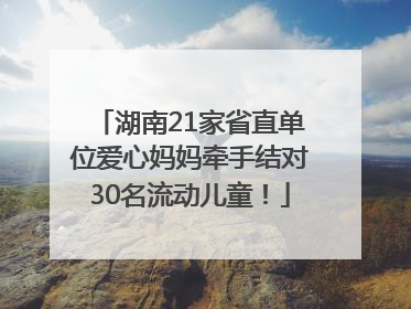湖南21家省直单位爱心妈妈牵手结对30名流动儿童！