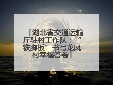湖北省交通运输厅驻村工作队：“铁脚板”书写龙凤村幸福答卷