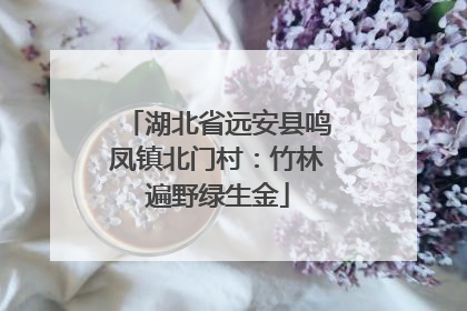 湖北省远安县鸣凤镇北门村：竹林遍野绿生金
