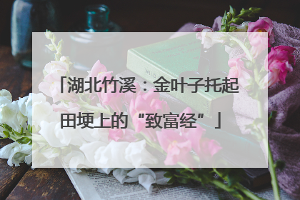 湖北竹溪：金叶子托起田埂上的“致富经”