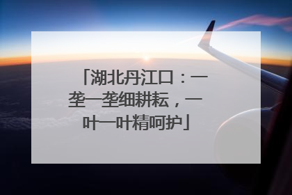 湖北丹江口：一垄一垄细耕耘，一叶一叶精呵护