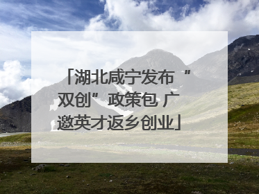 湖北咸宁发布“双创”政策包 广邀英才返乡创业