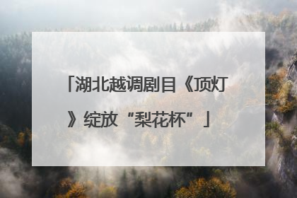 湖北越调剧目《顶灯》绽放“梨花杯”