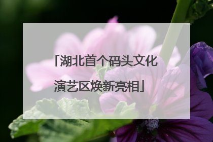 湖北首个码头文化演艺区焕新亮相