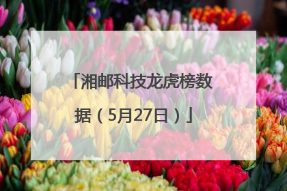 湘邮科技龙虎榜数据（5月27日）