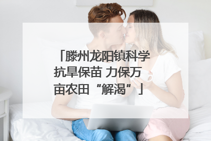 滕州龙阳镇科学抗旱保苗 力保万亩农田“解渴”