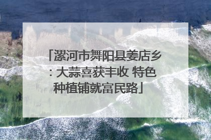 漯河市舞阳县姜店乡：大蒜喜获丰收 特色种植铺就富民路