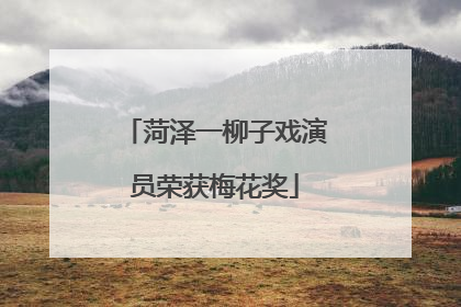 菏泽一柳子戏演员荣获梅花奖