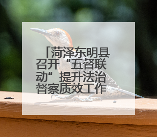 菏泽东明县召开“五督联动”提升法治督察质效工作动员会