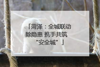 菏泽：全城联动除隐患 携手共筑“安全城”