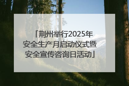 荆州举行2025年安全生产月启动仪式暨安全宣传咨询日活动