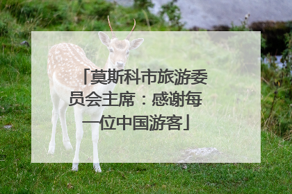 莫斯科市旅游委员会主席：感谢每一位中国游客