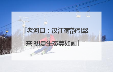 老河口：汉江荷韵引翠来 初夏生态美如画