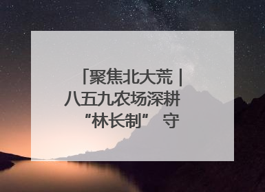 聚焦北大荒｜八五九农场深耕“林长制” 守护“生态绿”