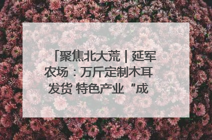 聚焦北大荒｜延军农场：万斤定制木耳发货 特色产业“成绩单”亮眼