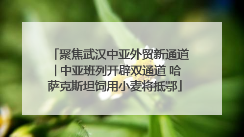 聚焦武汉中亚外贸新通道│中亚班列开辟双通道 哈萨克斯坦饲用小麦将抵鄂