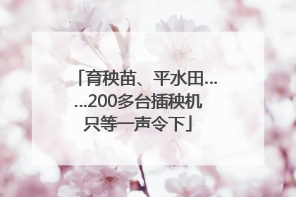 育秧苗、平水田……200多台插秧机只等一声令下