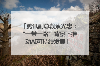 腾讯副总裁蔡光忠：“一带一路”背景下推动AI可持续发展