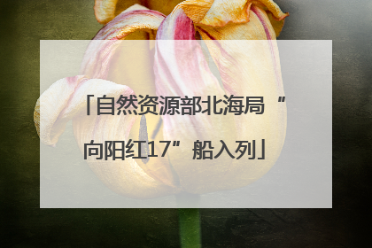 自然资源部北海局“向阳红17”船入列