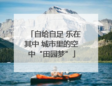 自给自足 乐在其中 城市里的空中“田园梦”