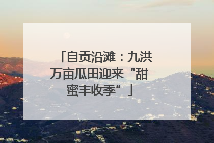 自贡沿滩：九洪万亩瓜田迎来“甜蜜丰收季”