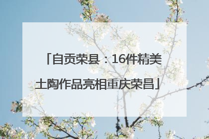 自贡荣县：16件精美土陶作品亮相重庆荣昌