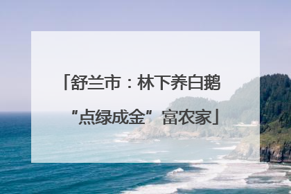 舒兰市：林下养白鹅 “点绿成金”富农家