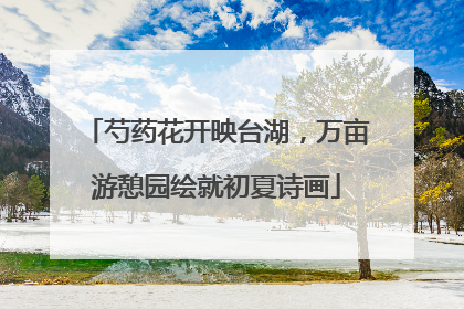 芍药花开映台湖，万亩游憩园绘就初夏诗画