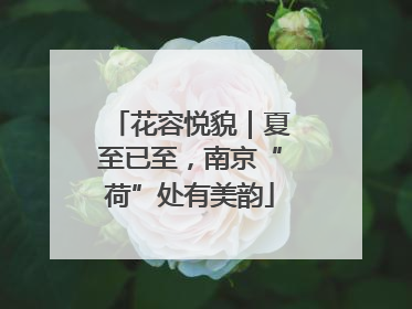 花容悦貌｜夏至已至，南京“荷”处有美韵