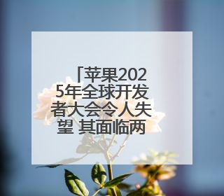 苹果2025年全球开发者大会令人失望 其面临两大挑战：AI和特朗普