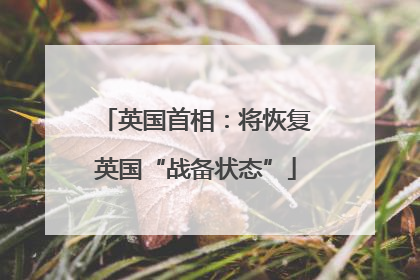 英国首相：将恢复英国“战备状态”