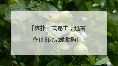 虎扑正式易主，迅雷作价5亿完成收购