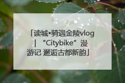 读城•骑遇金陵vlog｜“Citybike”漫游记 邂逅古都新韵