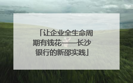 让企业全生命周期有钱花——长沙银行的新邵实践