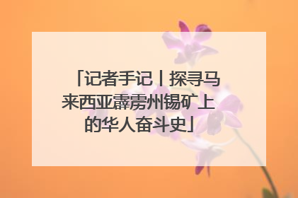 记者手记丨探寻马来西亚霹雳州锡矿上的华人奋斗史