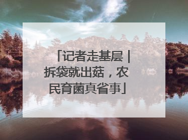 记者走基层｜拆袋就出菇，农民育菌真省事