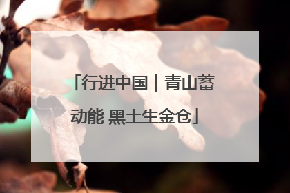 行进中国｜青山蓄动能 黑土生金仓