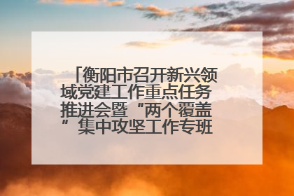 衡阳市召开新兴领域党建工作重点任务推进会暨“两个覆盖”集中攻坚工作专班 第一次会议