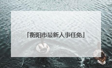 衡阳市最新人事任免