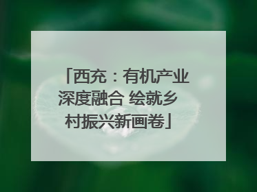 西充：有机产业深度融合 绘就乡村振兴新画卷