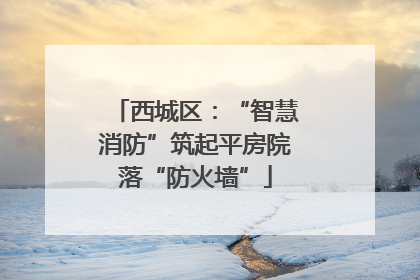西城区：“智慧消防”筑起平房院落“防火墙”