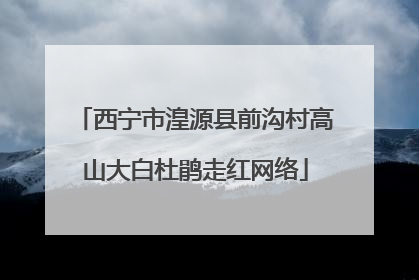 西宁市湟源县前沟村高山大白杜鹃走红网络
