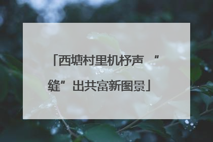西塘村里机杼声 “缝”出共富新图景
