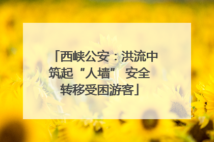 西峡公安：洪流中筑起“人墙” 安全转移受困游客