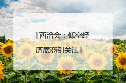 西洽会：低空经济展商引关注