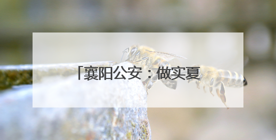 襄阳公安：做实夏日“夜警务” 护航城市“夜精彩”